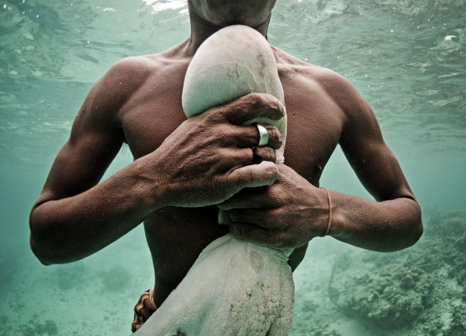 bajau-laut-octopus