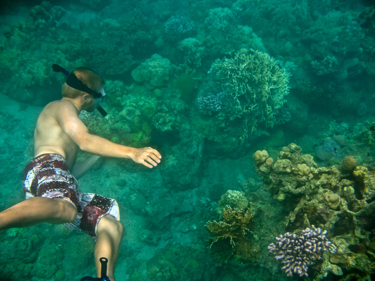 STA Adventure Activies Snorkeling 2