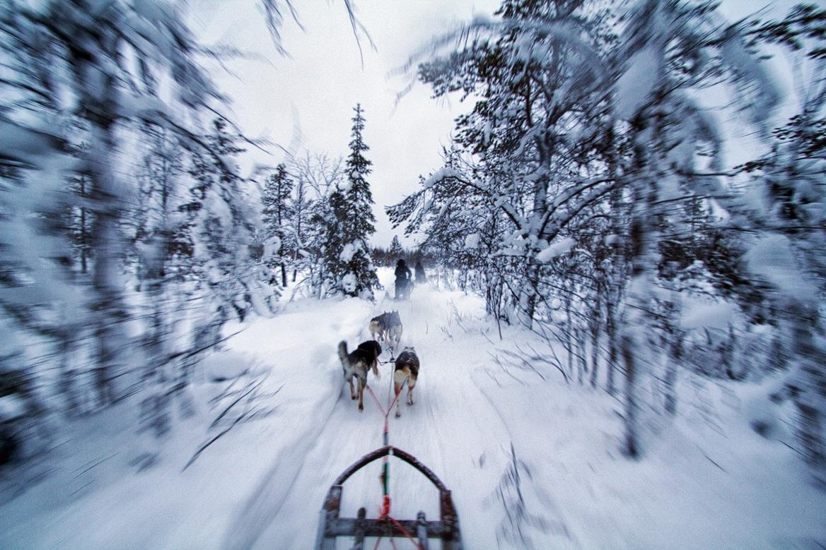 Photo: Polar Night Magic