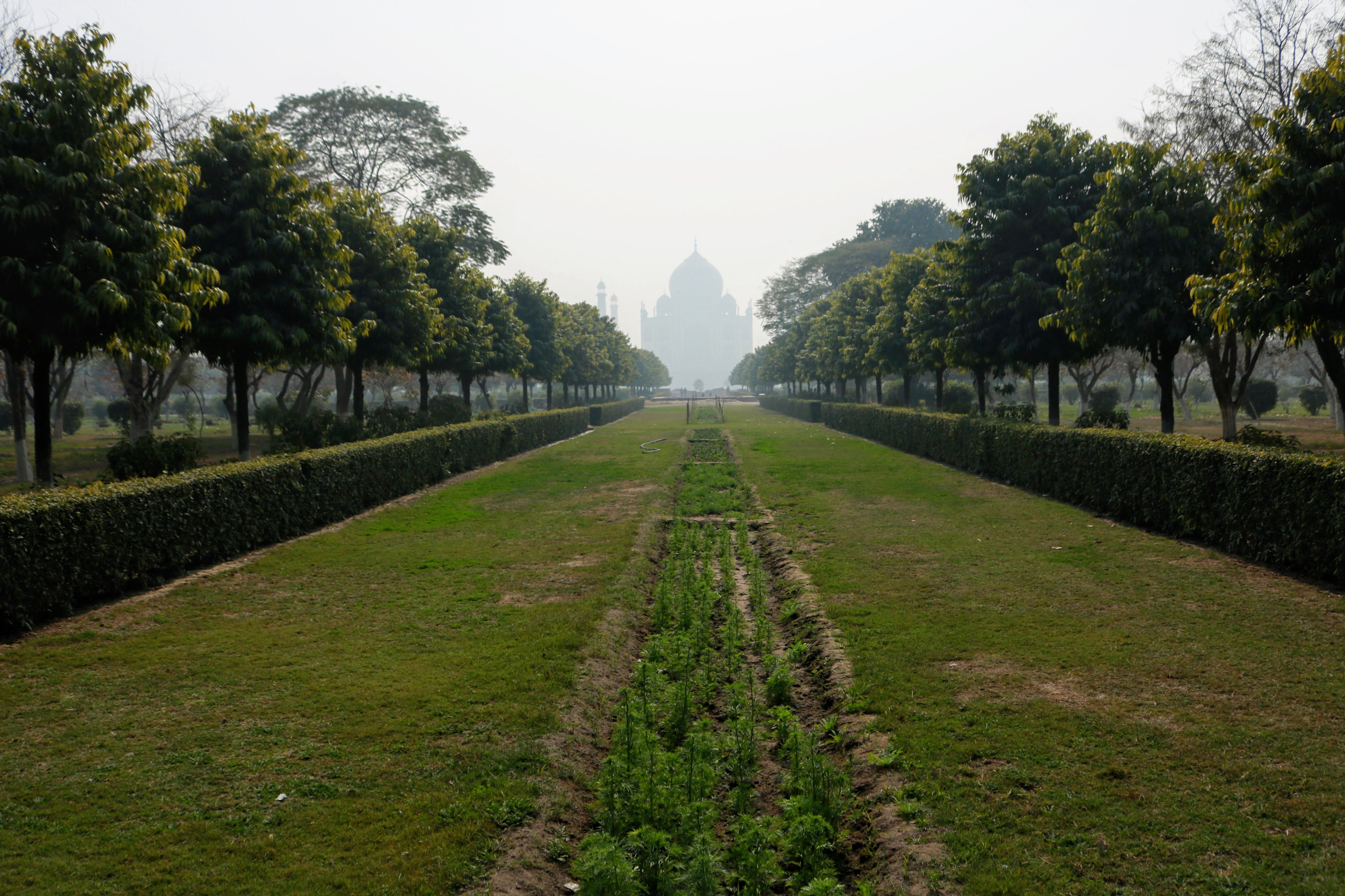 Alternative view of the Taj Mahal