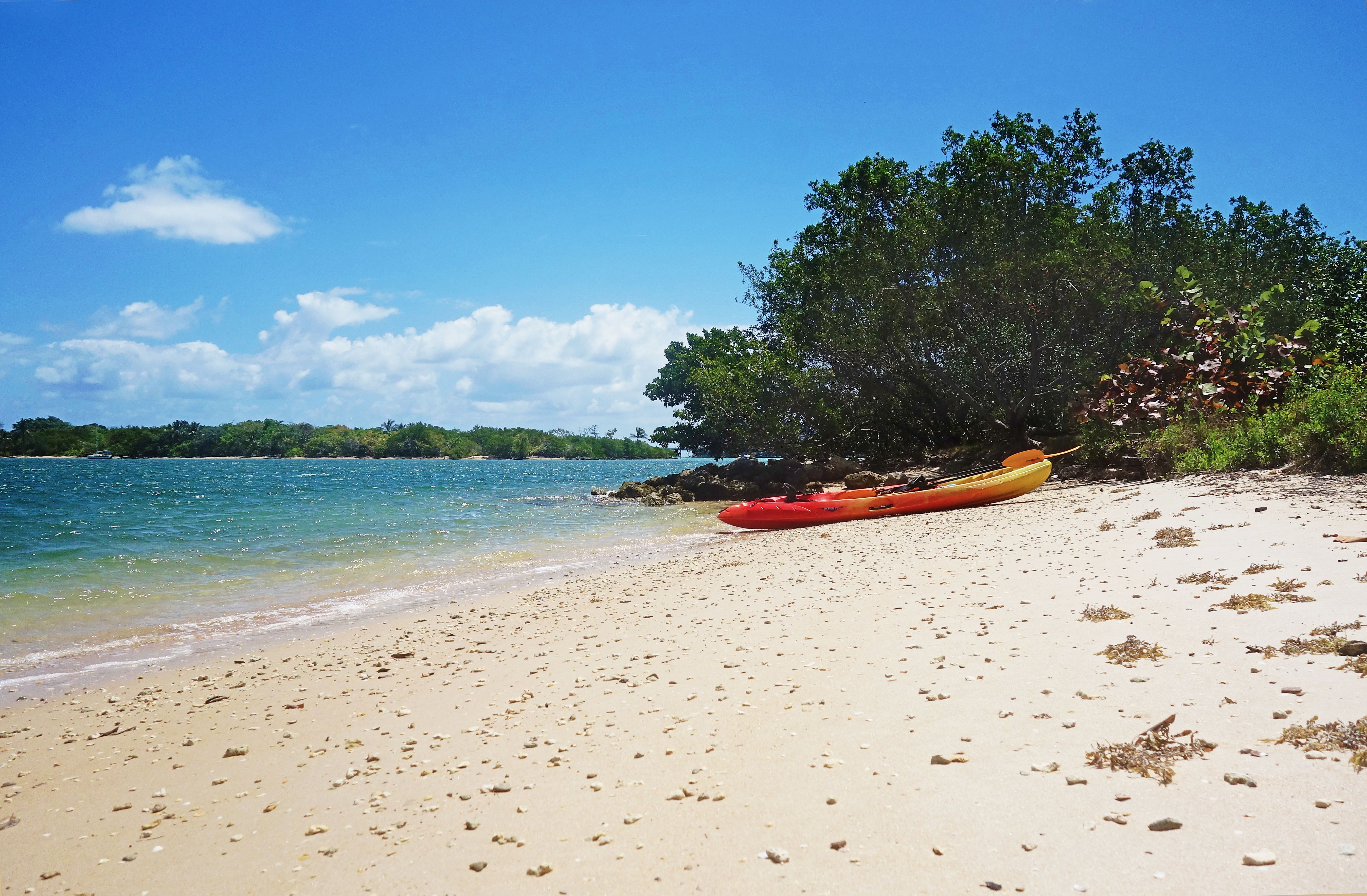 Beach at Oleta River State Park, Florida