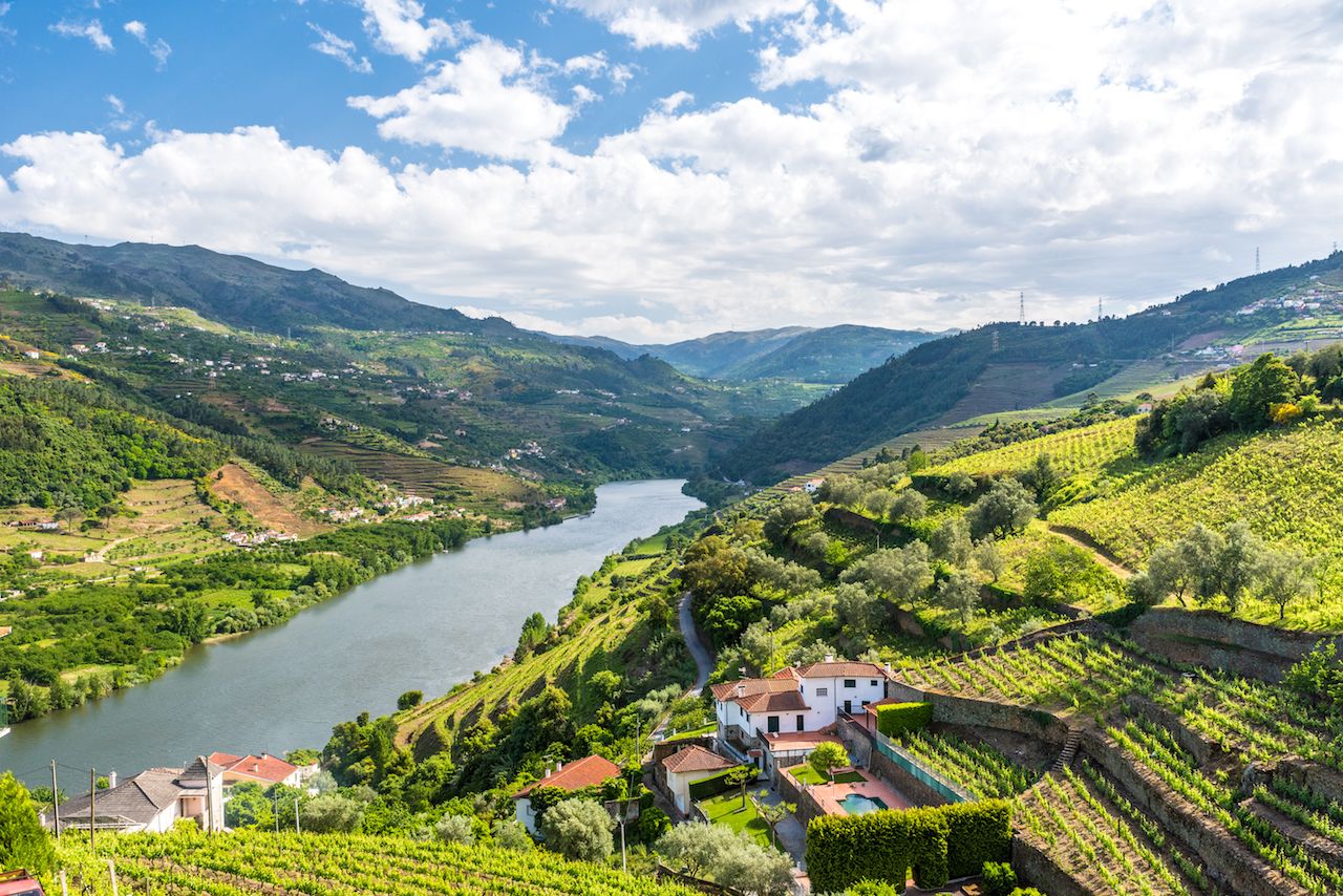 Landscape of the Douro River in Portugal