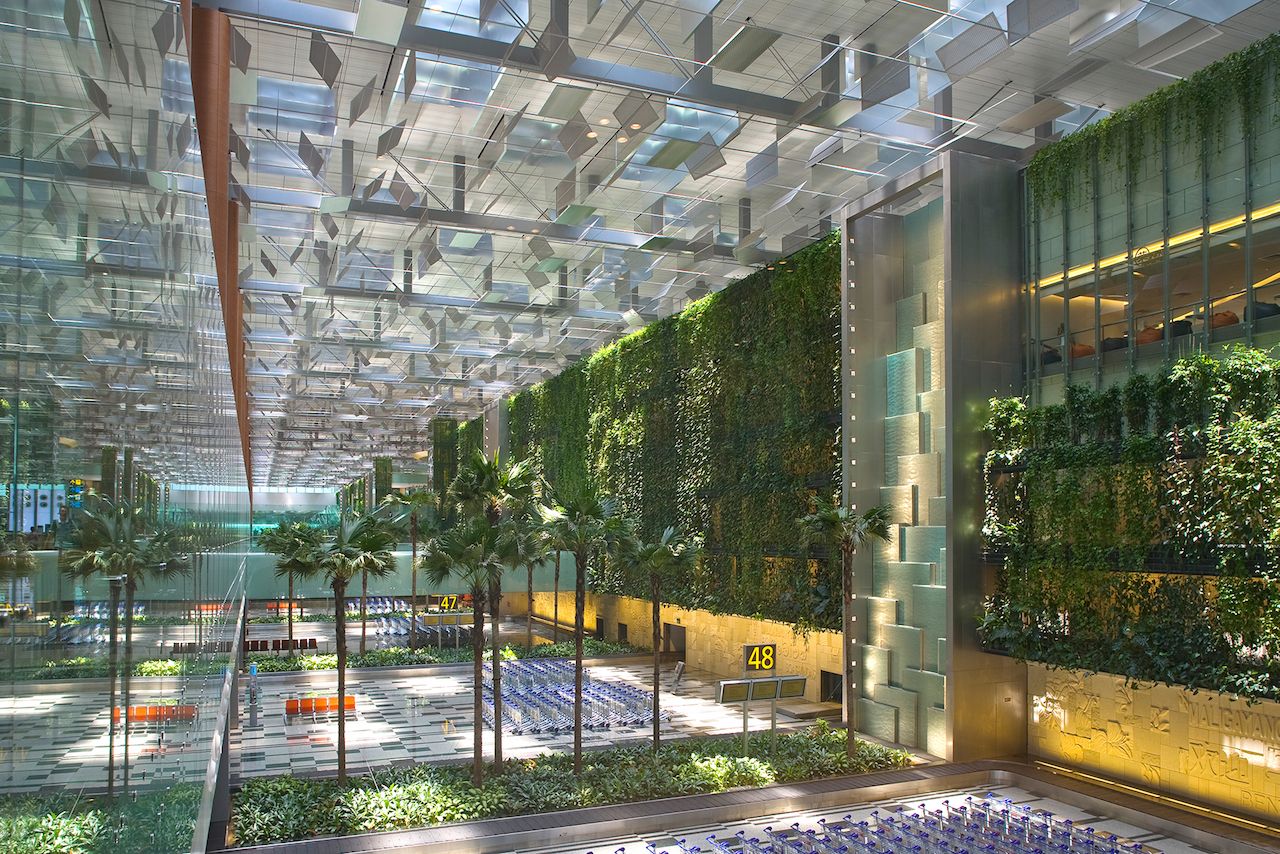 Living wall in the Changi airport