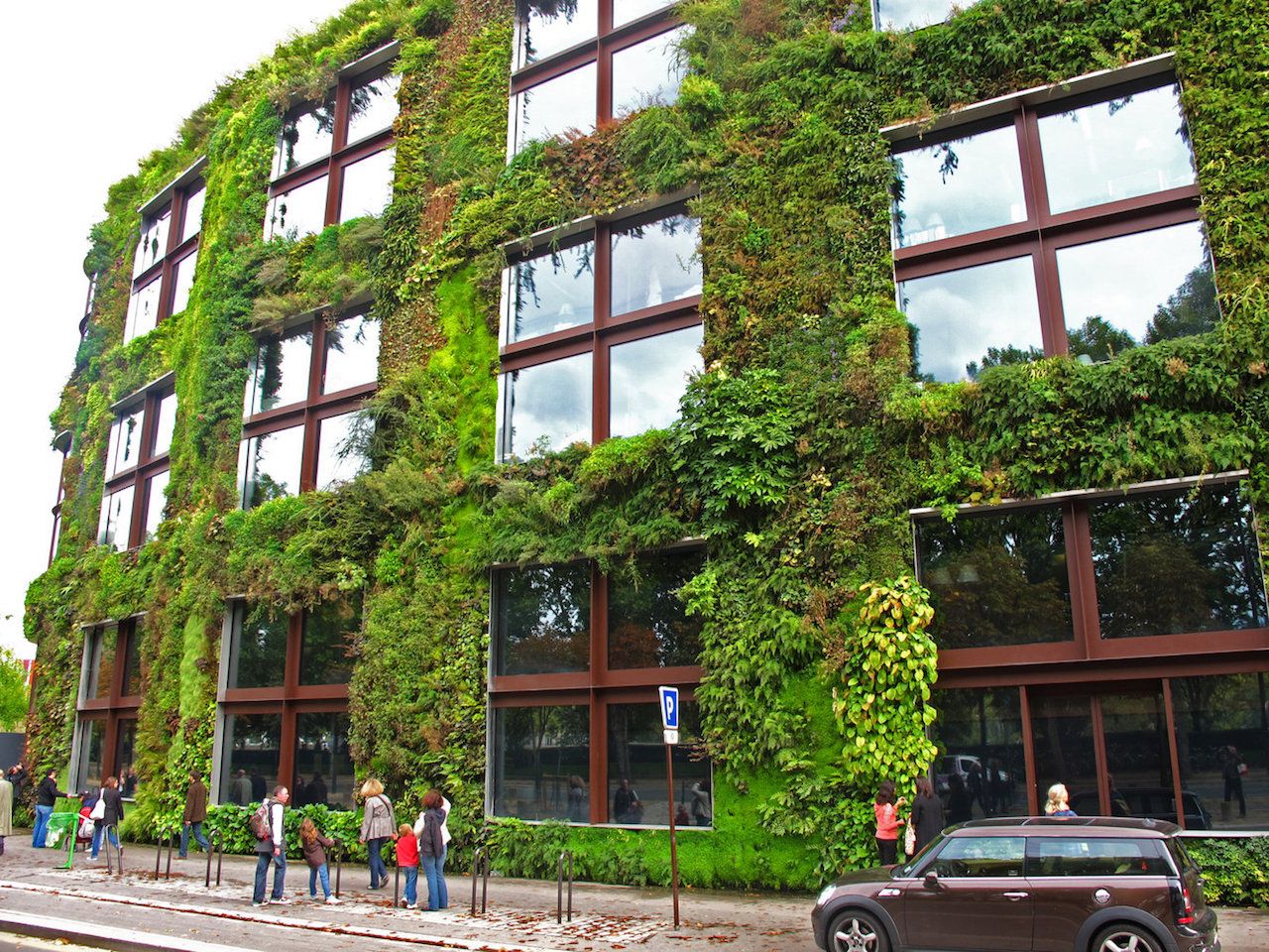 Massive living wall around a building