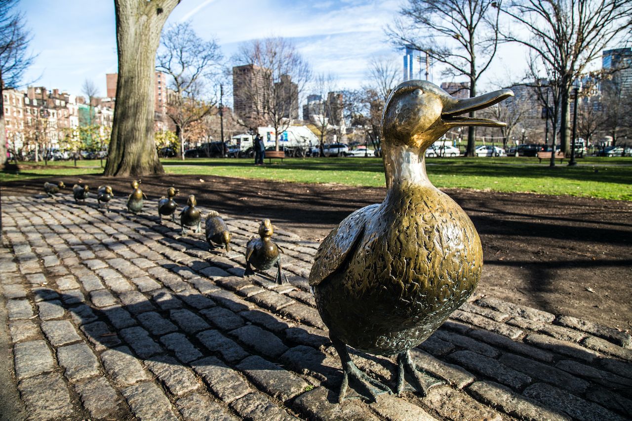 Duck statues