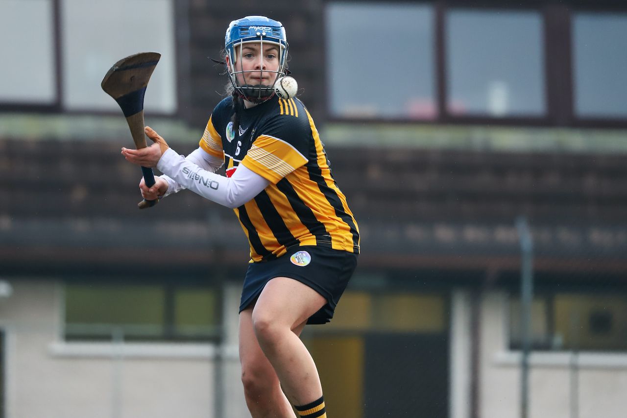 Camogie Leagues Division 1