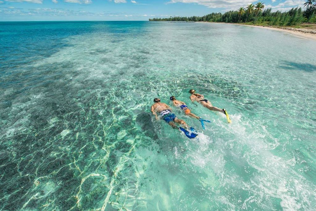 Snorkelling family